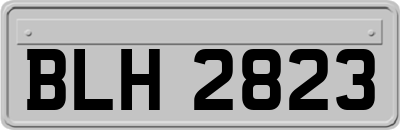 BLH2823