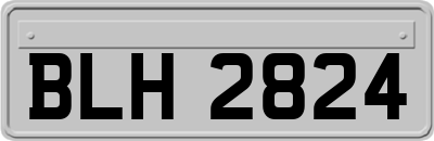 BLH2824