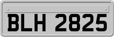 BLH2825
