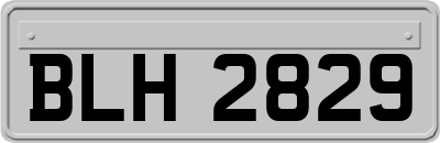 BLH2829