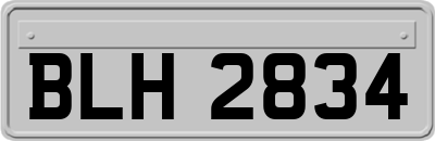 BLH2834