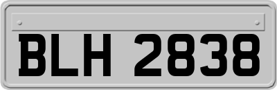 BLH2838