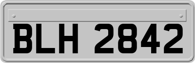 BLH2842