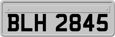 BLH2845