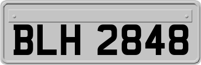 BLH2848