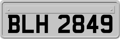 BLH2849
