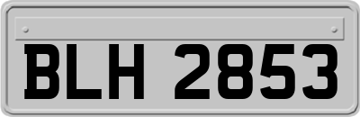 BLH2853