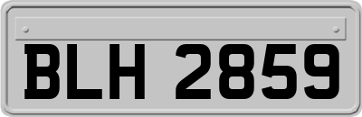 BLH2859