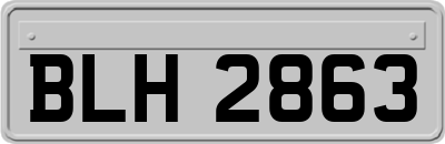 BLH2863