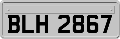 BLH2867