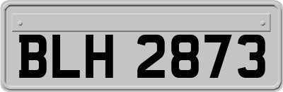 BLH2873