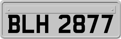 BLH2877