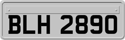 BLH2890