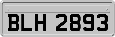 BLH2893