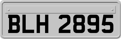 BLH2895