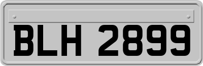 BLH2899