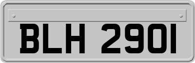 BLH2901