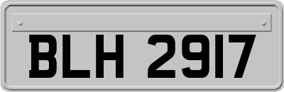 BLH2917