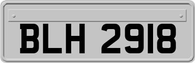 BLH2918
