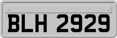 BLH2929