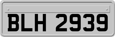 BLH2939