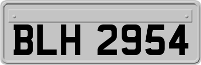 BLH2954