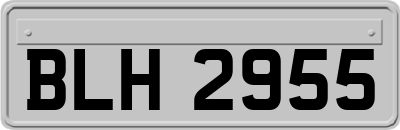 BLH2955