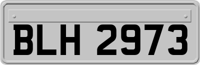 BLH2973