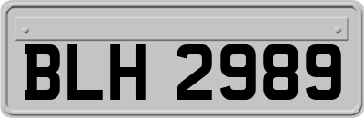 BLH2989