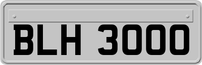BLH3000