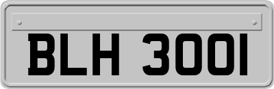 BLH3001