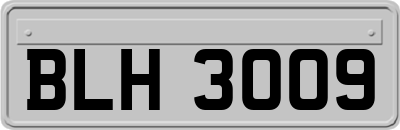 BLH3009
