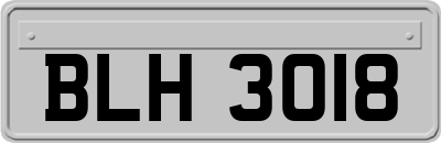 BLH3018