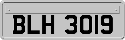 BLH3019