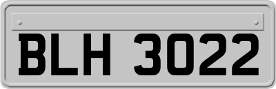 BLH3022