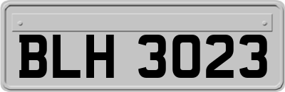 BLH3023