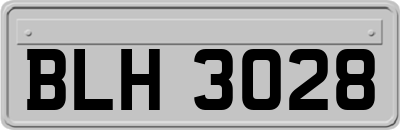 BLH3028