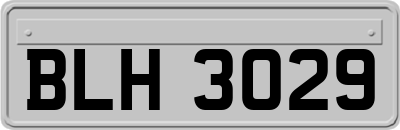BLH3029
