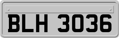 BLH3036