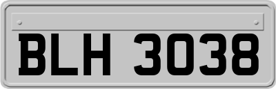 BLH3038