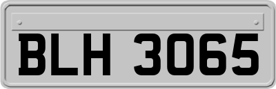 BLH3065