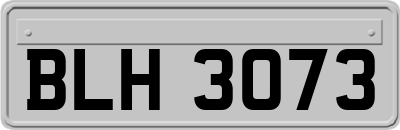 BLH3073