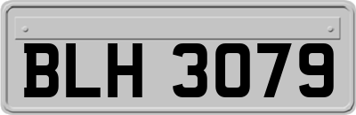 BLH3079