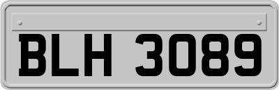 BLH3089