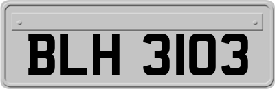 BLH3103