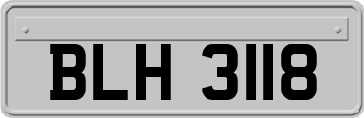 BLH3118