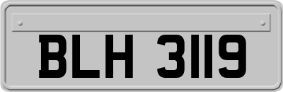 BLH3119
