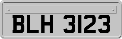 BLH3123