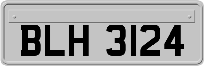 BLH3124