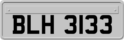 BLH3133